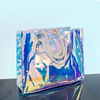 Rope Handles Holographic Clear Iridescent PVC Bag