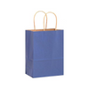 Colored Kraft Gift Bags with Handles